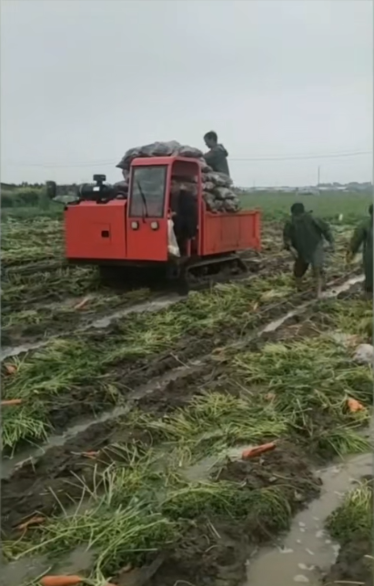 履帶式運輸車：征服復雜地形的全能戰士】